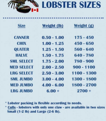 游艇会·yth206(中国)最新官方网站